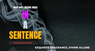 Incense: Its Meaning and Use in a Sentence