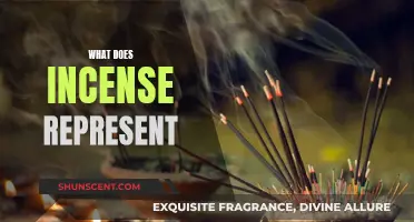 Incense and its Symbolic Meanings and Representations