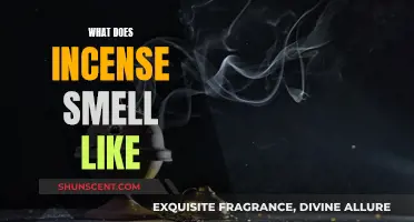 Incense Aromas: Exploring the Scents of Incense