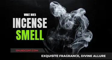 Incense Aromas: Exploring the Scents of Incense
