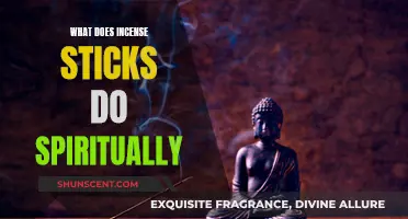 Incense Sticks: Spiritual Purification and Elevation