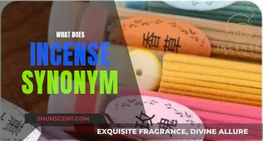 Incense and Its Synonyms: Exploring Aromatic Rituals