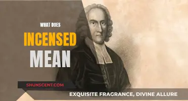 Incensed: Understanding the True Meaning and Its Nuances