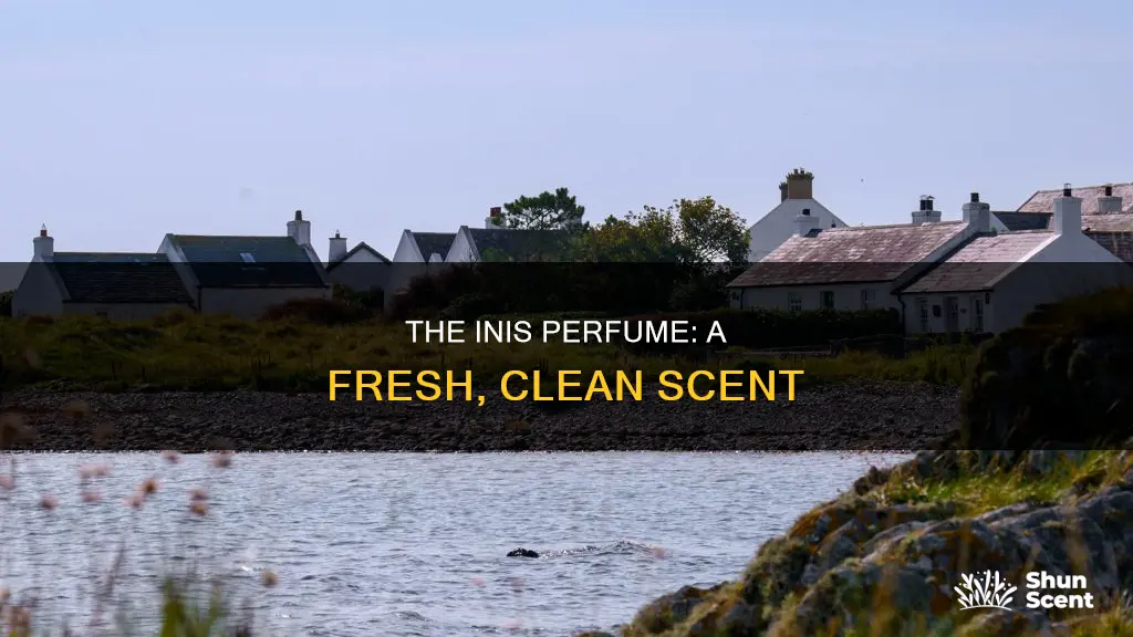 what does inis perfume smell like
