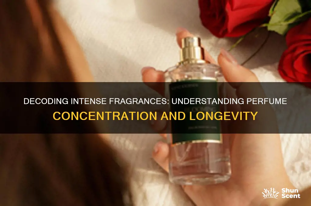 what does intense mean in perfume
