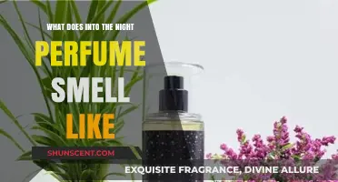Into the Night Perfume: A Sensual, Woody Scent