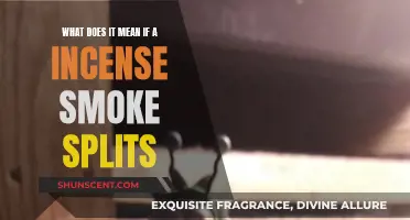 Incense Smoke Splits: Interpreting the Signs and Omens