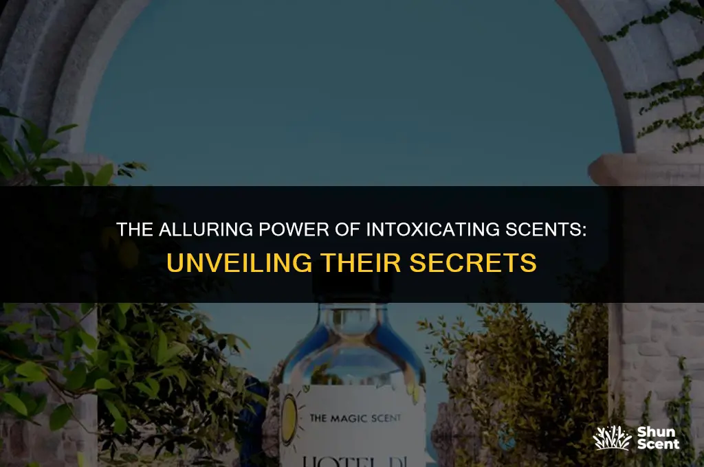 what does it mean if a scent is intoxicating