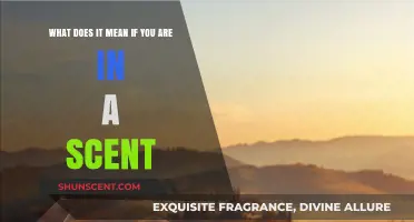 Exploring the Intriguing Realm of Scent: A Deep Dive