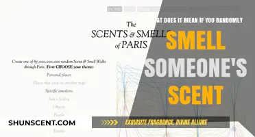Unexplained Aromas: Decoding the Mystery of Random Scents
