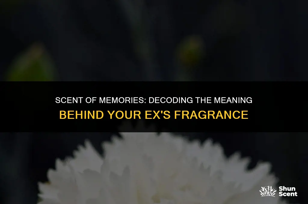what does it mean if you smell your ex