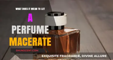 Understanding the Art of Maceration in Perfumery: A Comprehensive Guide