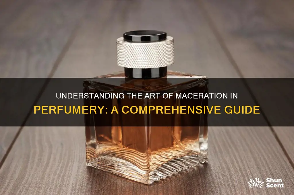 what does it mean to let a perfume macerate