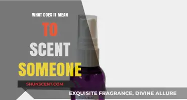 Unraveling the Mysteries of Scent: What It Means to Scent Someone