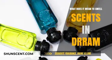 Decoding the Meaning Behind Scents in Dreams
