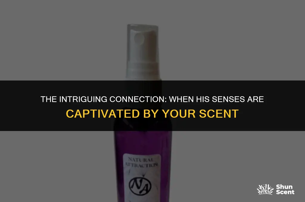 what does it mean when a guy likes your scent