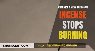 Why Does Copal Incense Stop Burning?