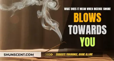 Incense Smoke: Interpreting the Direction of the Aroma