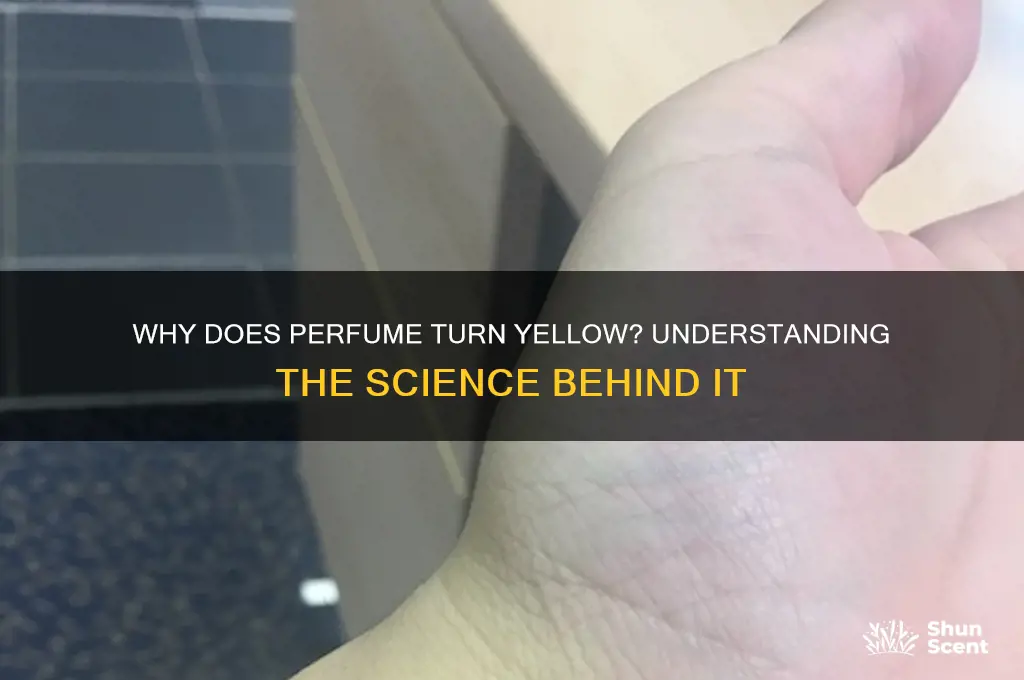 what does it mean when perfume turns yellow