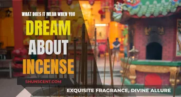 Incense in Dreams: A Spiritual Awakening or Something Else?