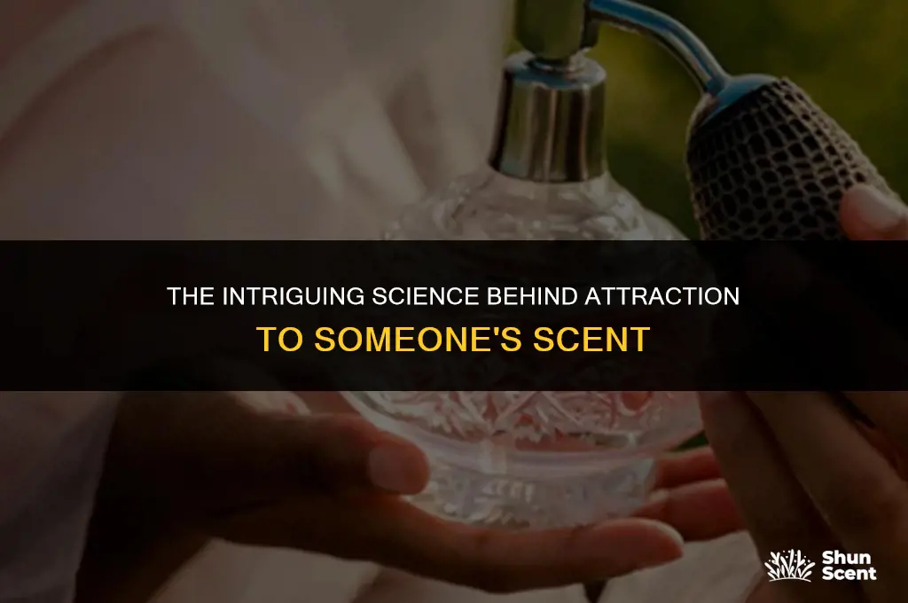 what does it mean when you like someone