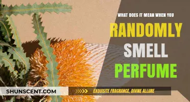 Unraveling the Mystery of Unexpected Perfume Scents