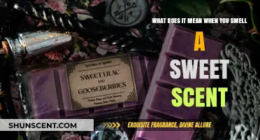 Unraveling the Mysteries: What Does That Sweet Scent Mean?