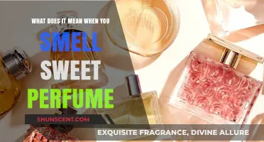 The Mystery of Sweet Perfume Scents