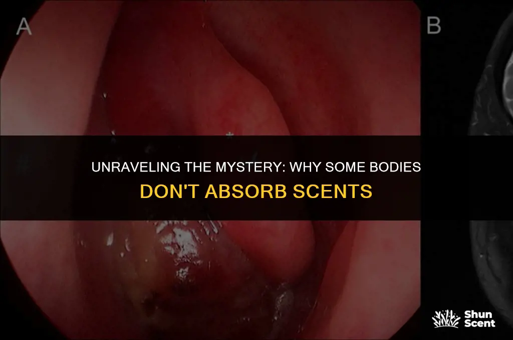 what does it mean when your body doesn