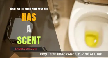 Understanding Urinary Odor: Causes and Considerations