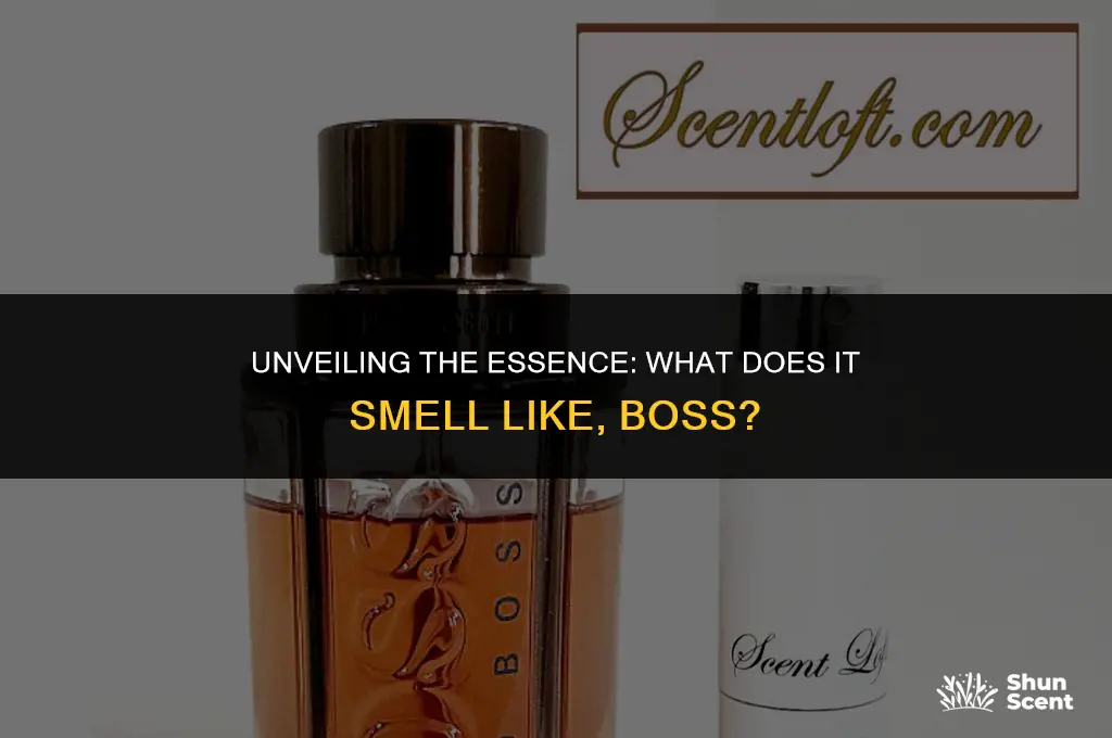 what does it smell boss the scent private accord