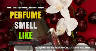 The Sweet Fragrance of Japanese Cherry Blossoms