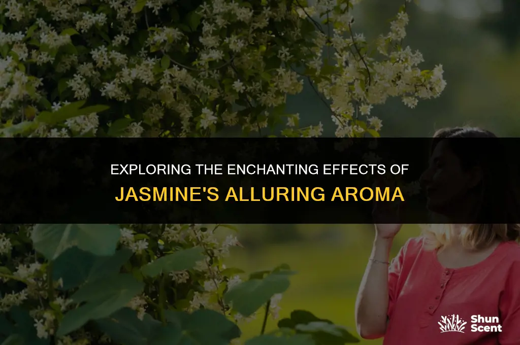 what does jasmine scent do