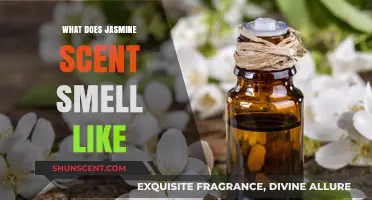 Exploring the Enchanting Aroma of Jasmine: A Fragrant Journey