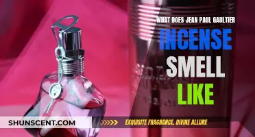 Jean Paul Gaultier Incense: An Exotic, Sensual Scent
