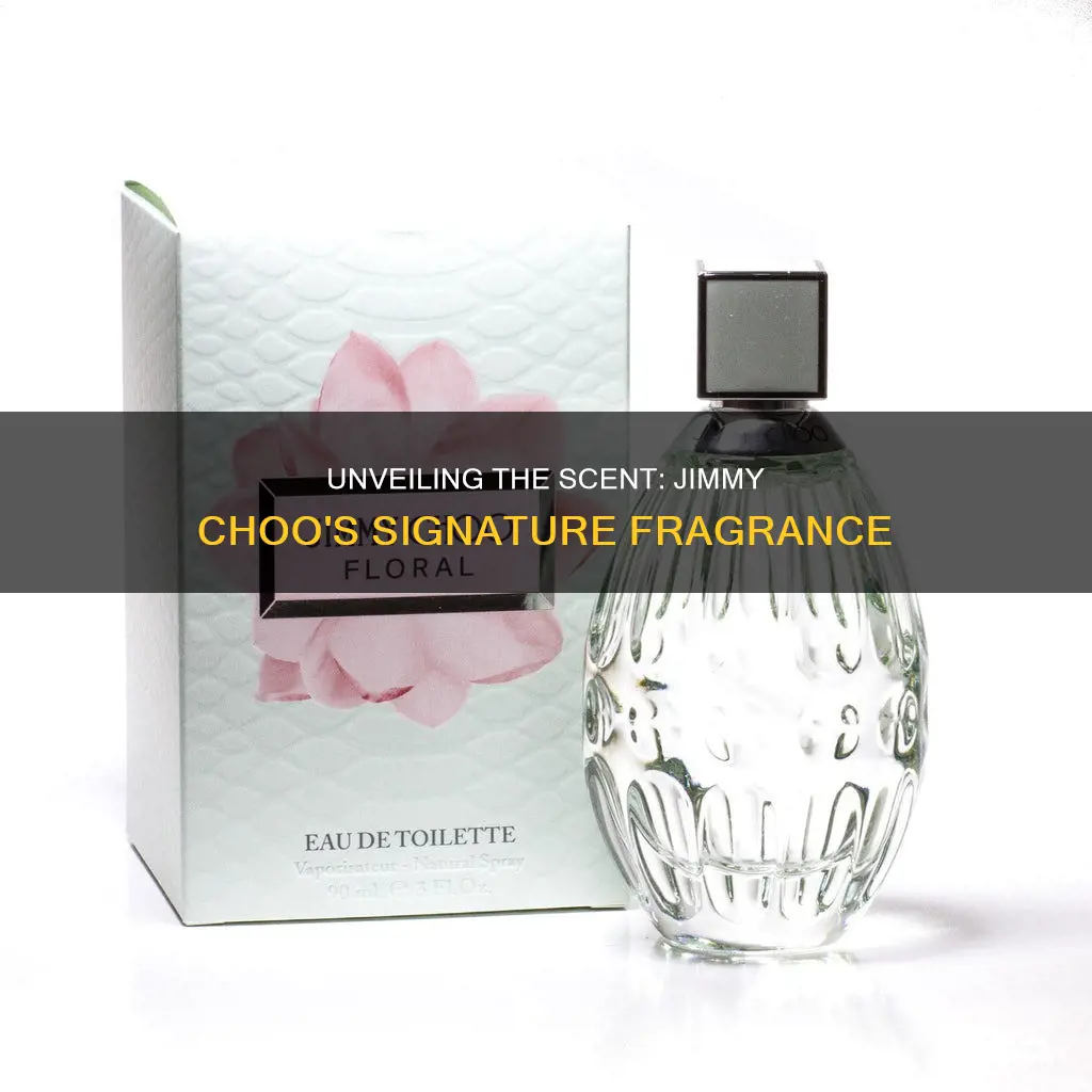 what does jimmy choo fragrance smell like