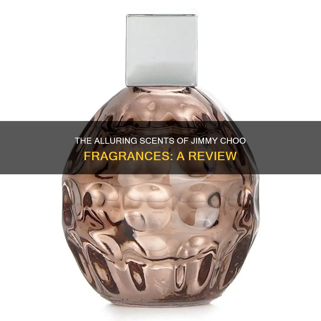what does jimmy choo fragrance smell like