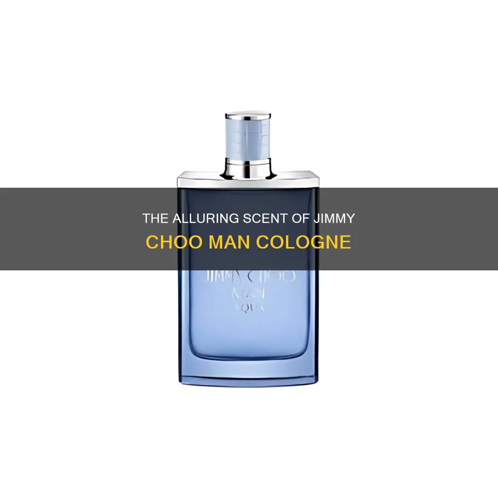 what does jimmy choo man cologne smell like