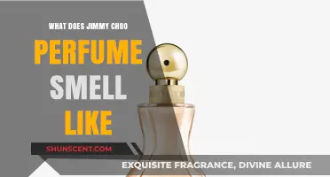 The Alluring Scent of Jimmy Choo Perfumes