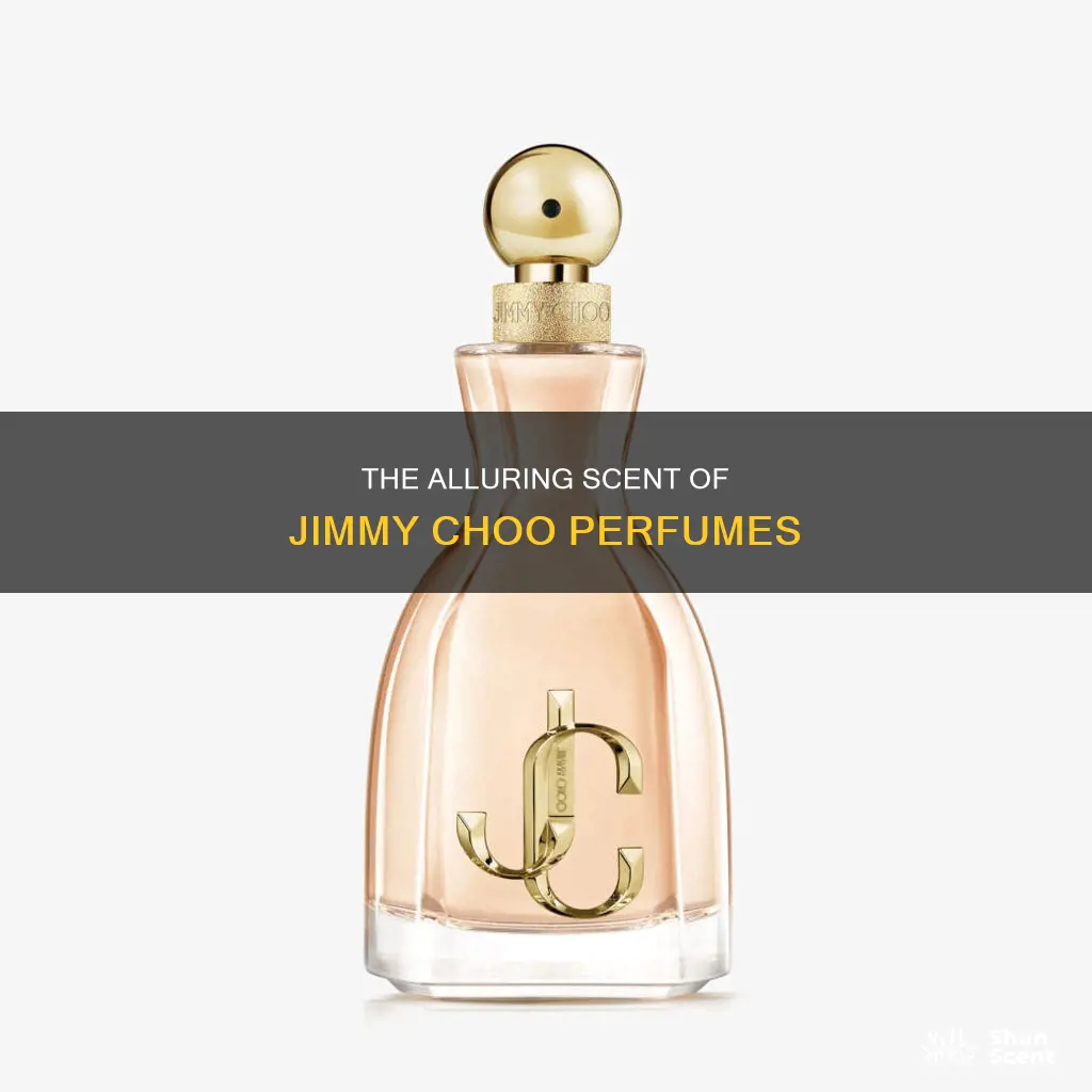 what does jimmy choo perfume smell like