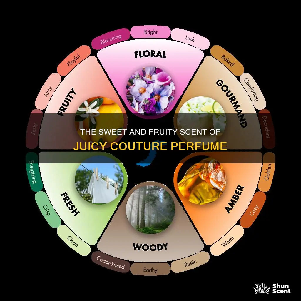 what does juicy couture original perfume smell like