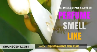 Kate Spade's Walk on Air: A Fragrance Review