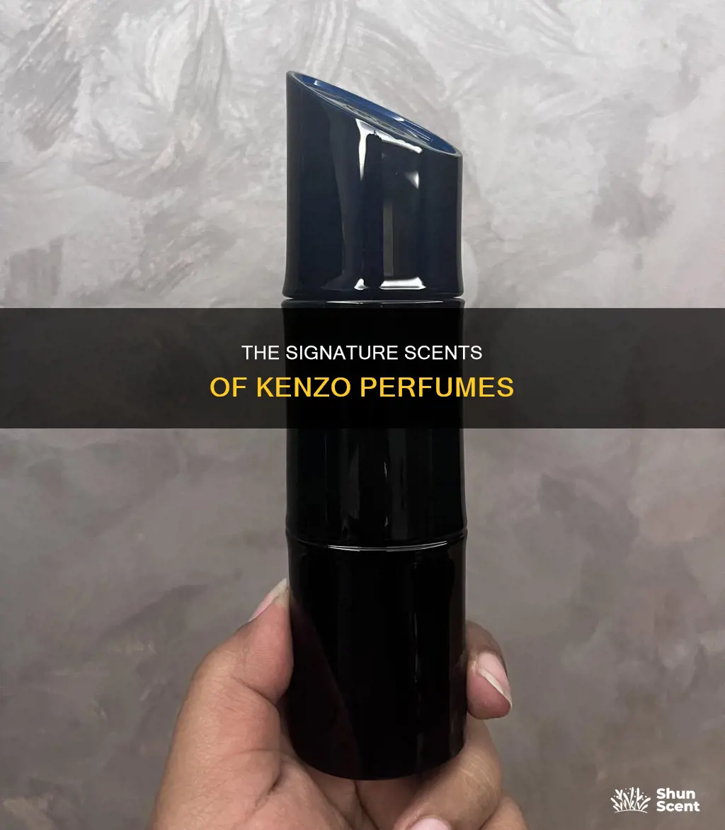 what does kenzo perfume smell like