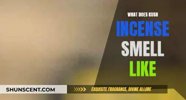 Kush Incense: A Sweet, Earthy, and Relaxing Aroma