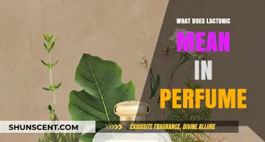 Understanding Lactonic Notes: The Sweet, Creamy Heart of Perfumes