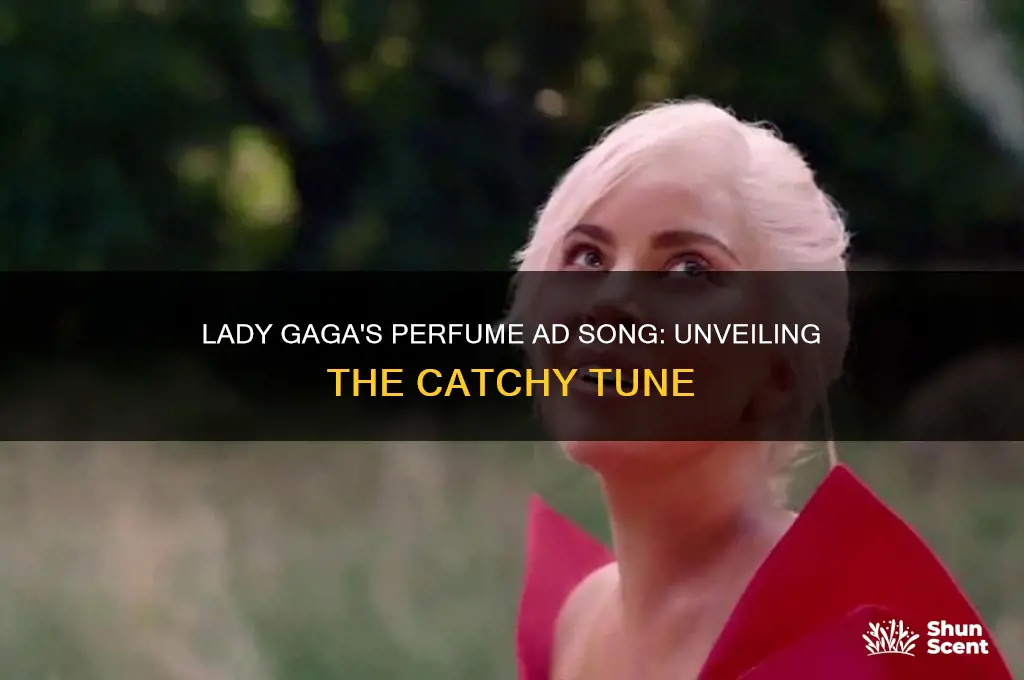 what does lady gaga sing in the perfume advert