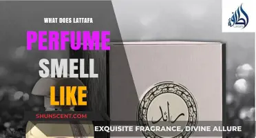 Explore the Fragrance Notes of Lattafa Perfumes