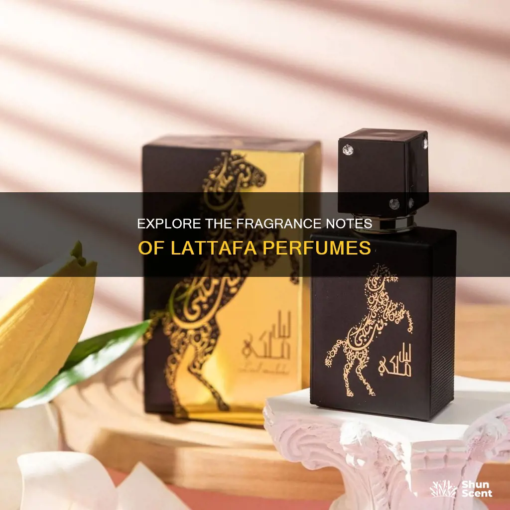 what does lattafa perfume smell like