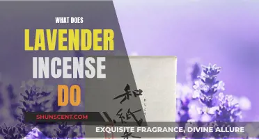 Lavender Incense: Its Benefits and Uses
