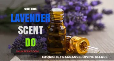 Unlocking Tranquility: The Soothing Powers of Lavender Scent